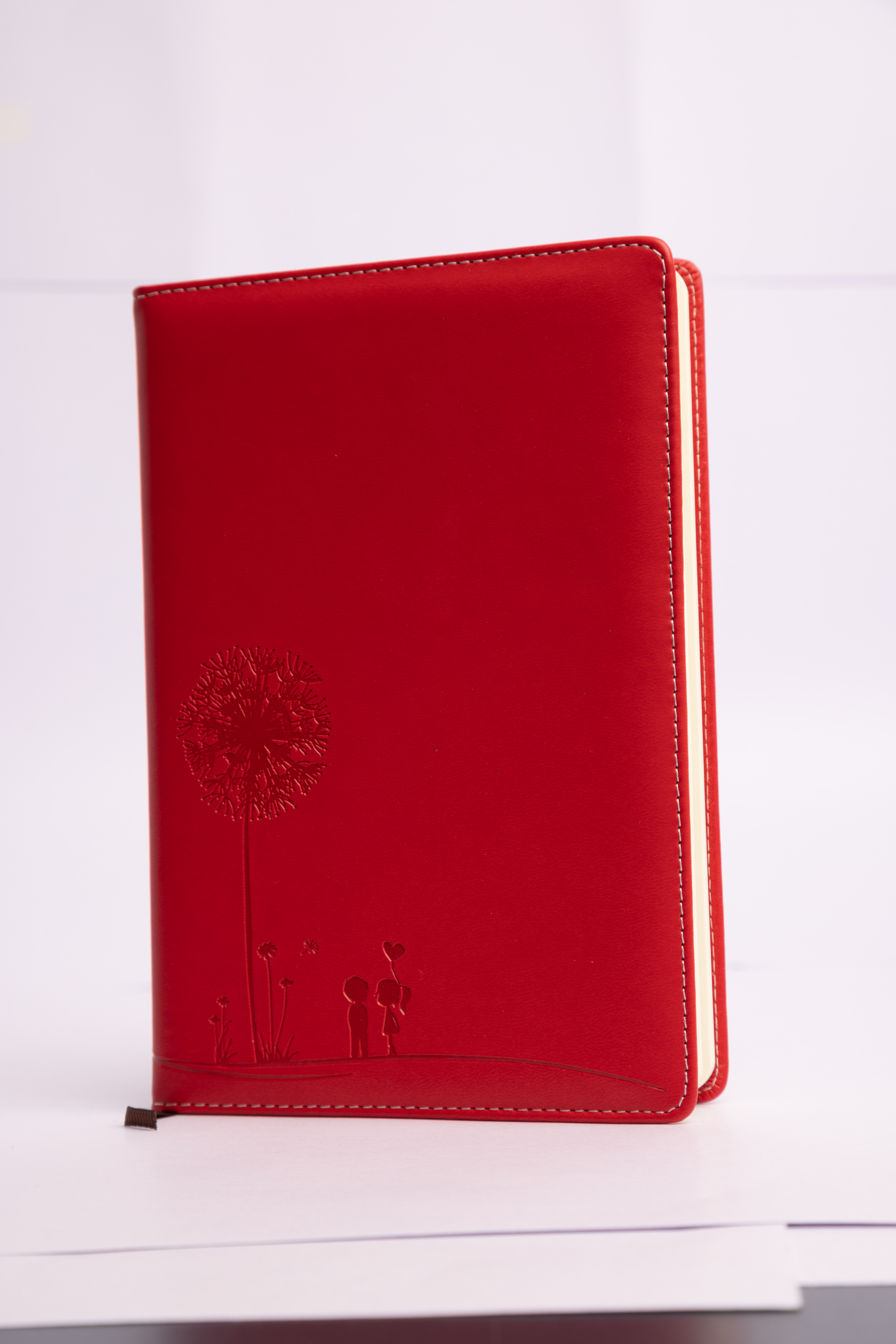 A5 notebooks 